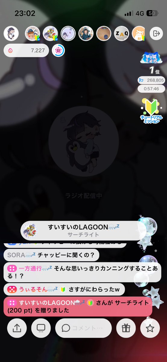 投稿画像